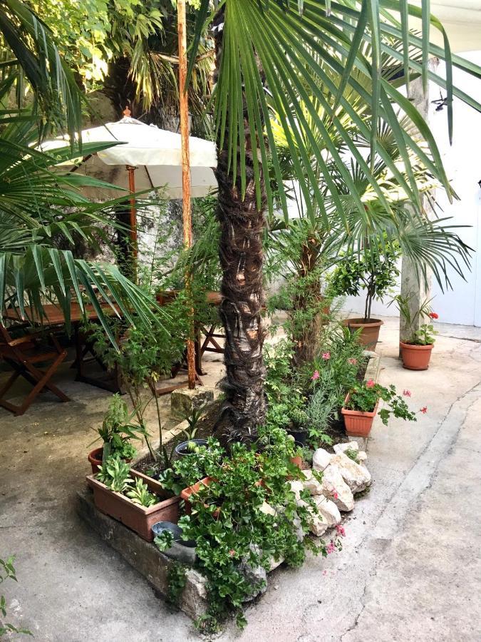 Palmera モスタル エクステリア 写真