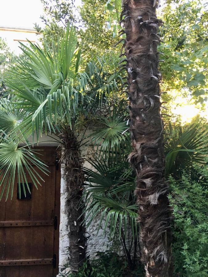 Palmera モスタル エクステリア 写真