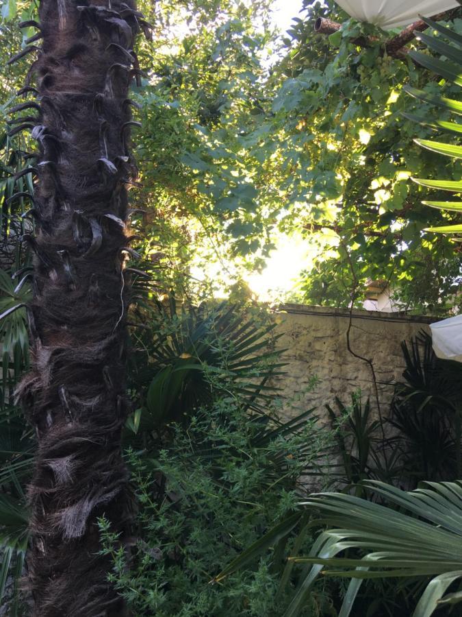 Palmera モスタル エクステリア 写真