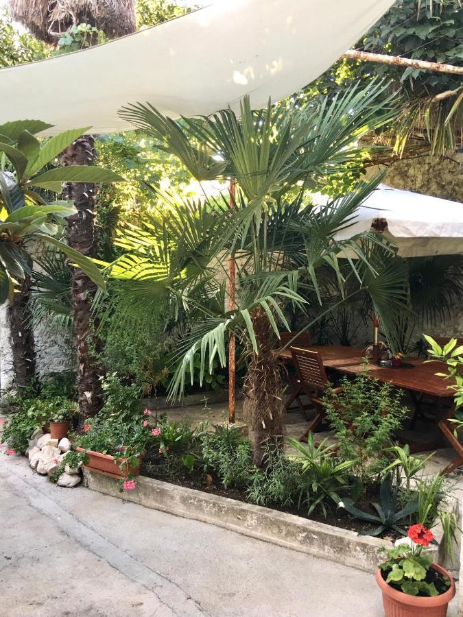 Palmera モスタル エクステリア 写真