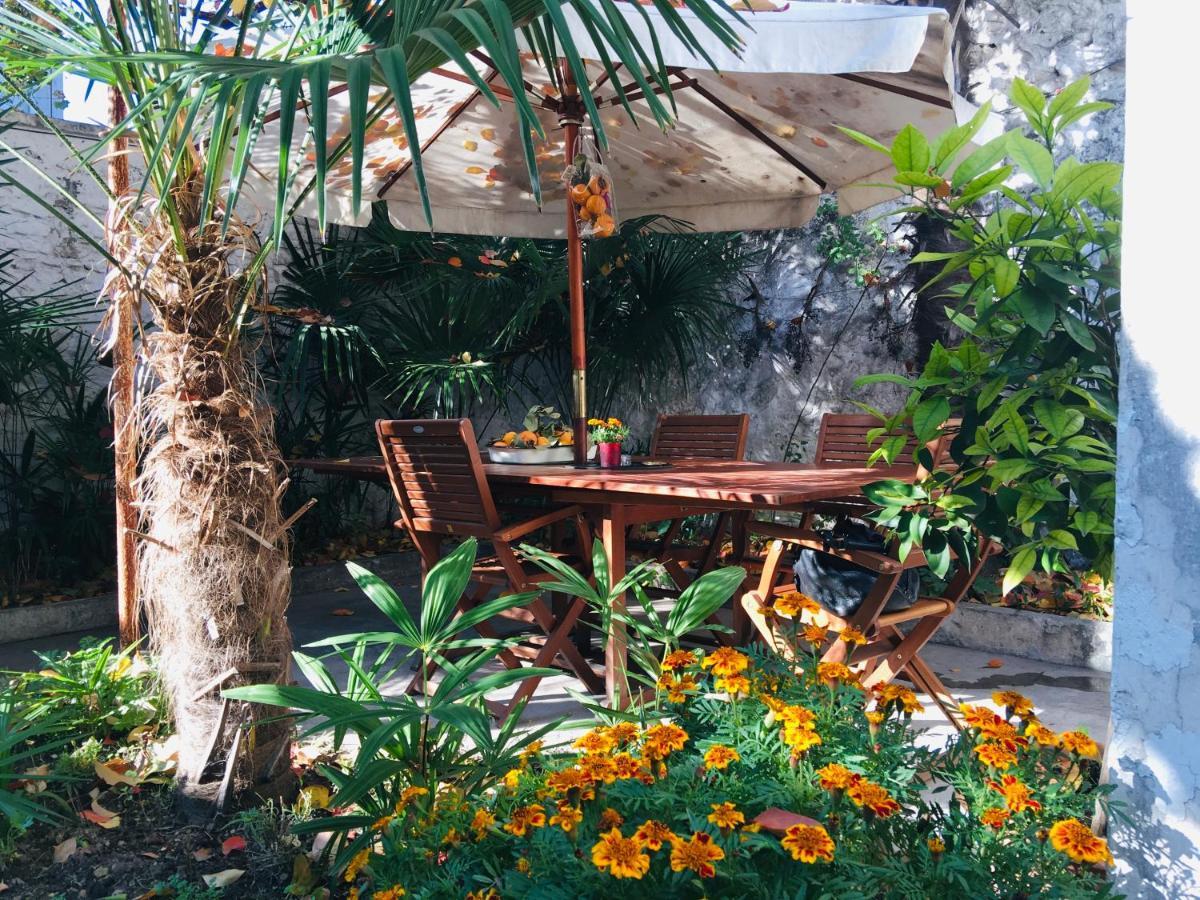 Palmera モスタル エクステリア 写真