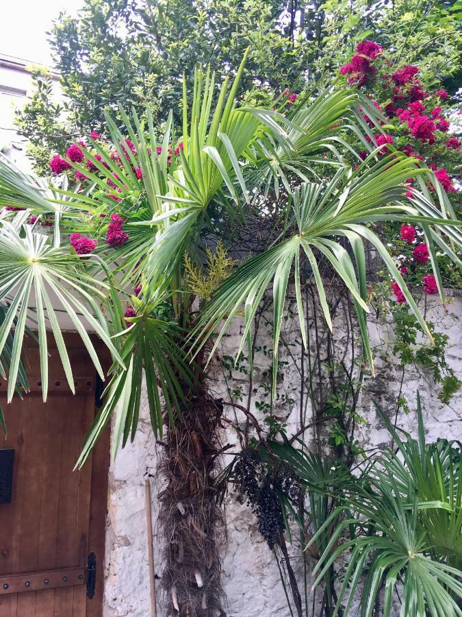 Palmera モスタル エクステリア 写真