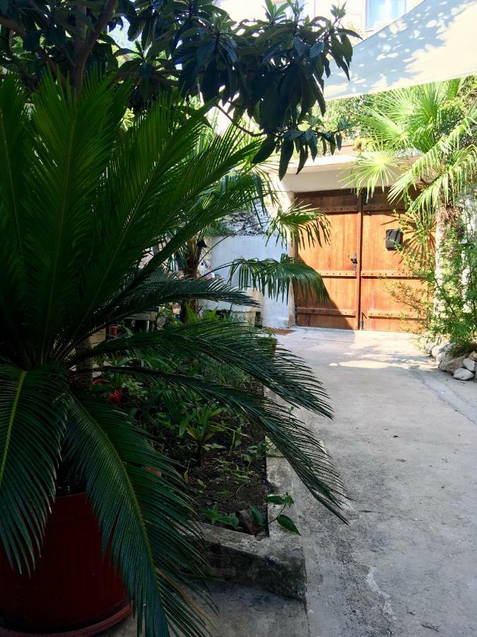 Palmera モスタル エクステリア 写真