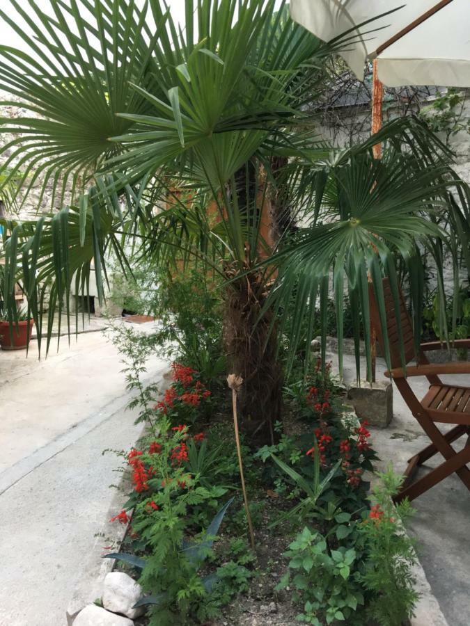 Palmera モスタル エクステリア 写真