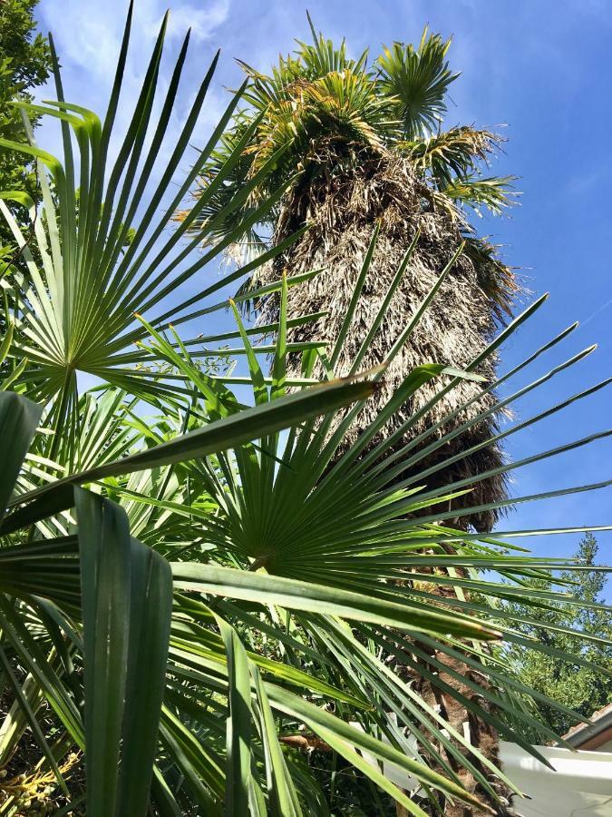 Palmera モスタル エクステリア 写真