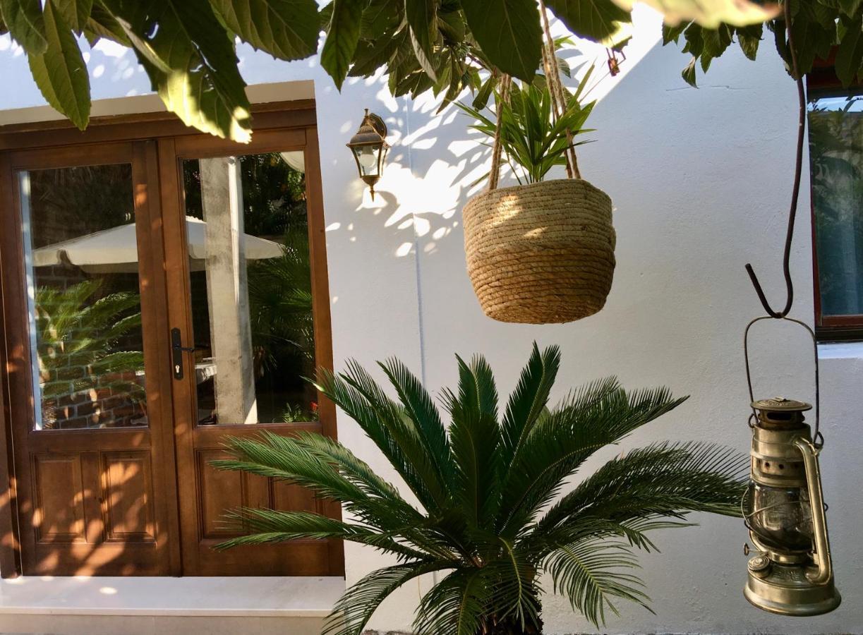 Palmera モスタル エクステリア 写真