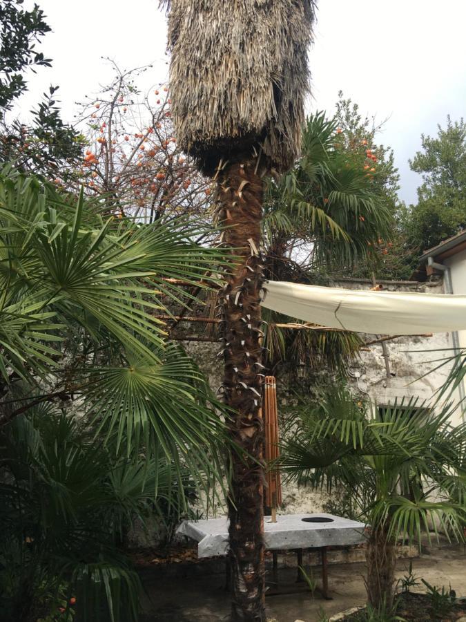 Palmera モスタル エクステリア 写真