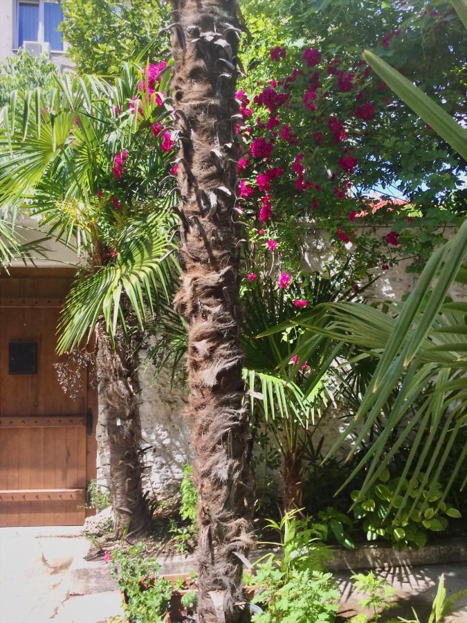 Palmera モスタル エクステリア 写真